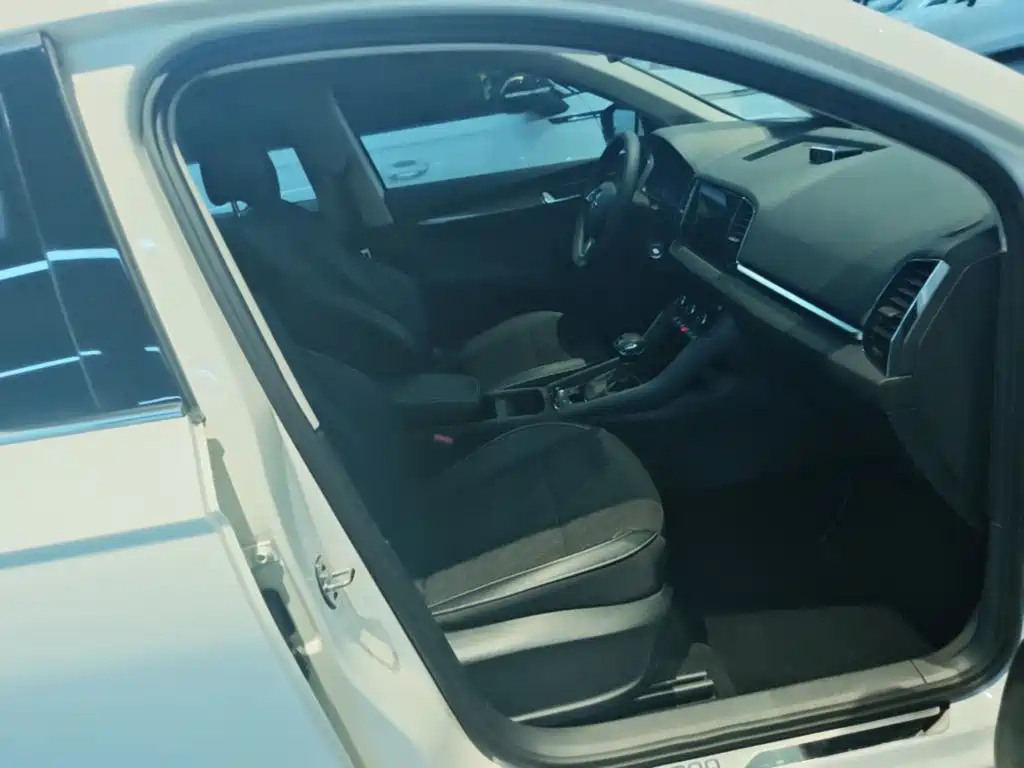 Skoda Karoq 2020 — фото 25