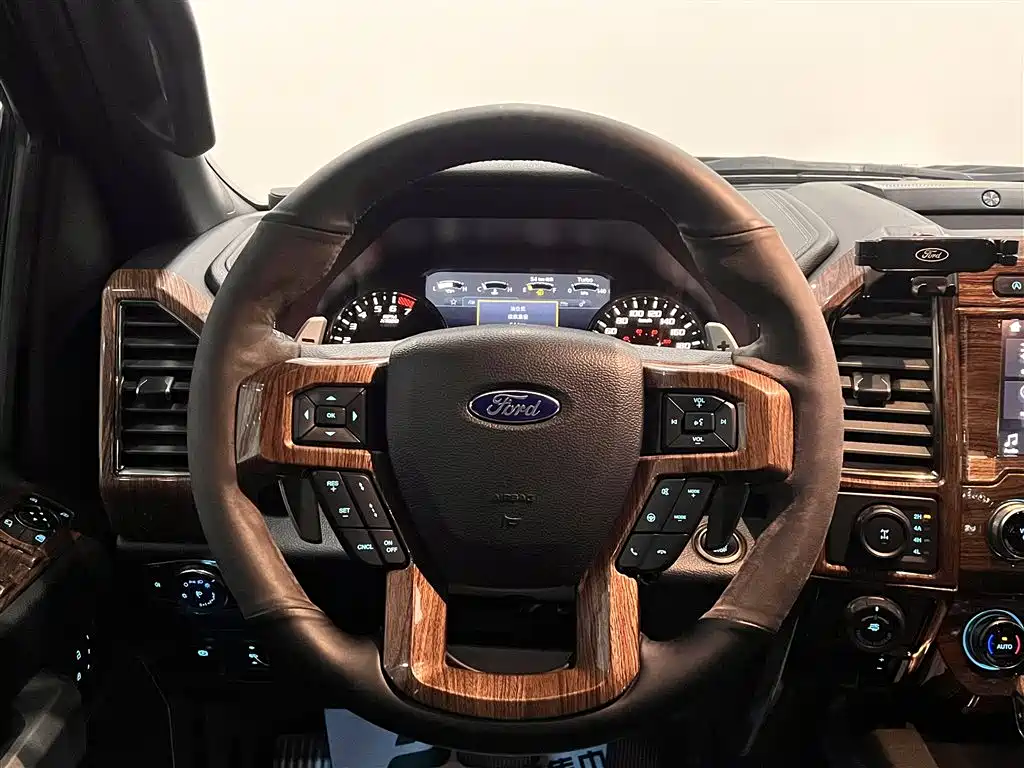 Ford F-150 Raptor 2019 — фото 8