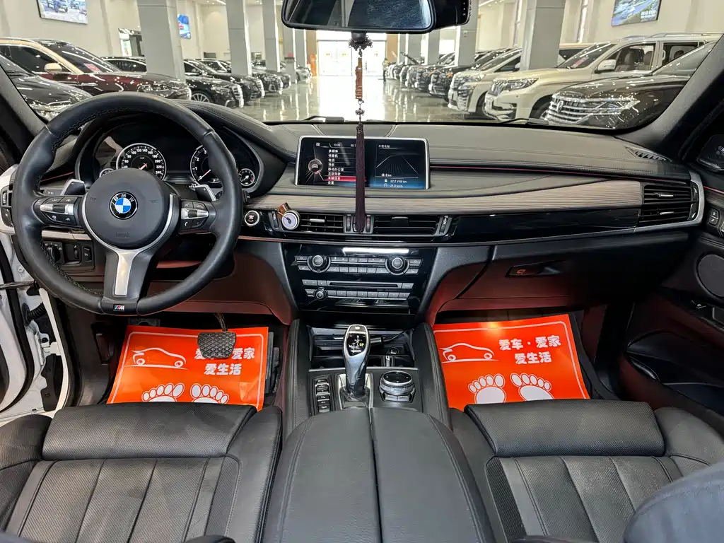 BMW X6 2017 — фото 10