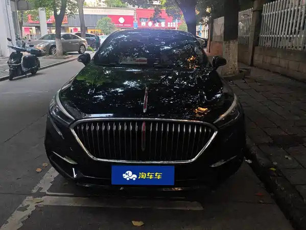 Hongqi H5 2020