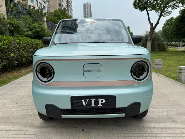Geely Galaxy Panda 2024
