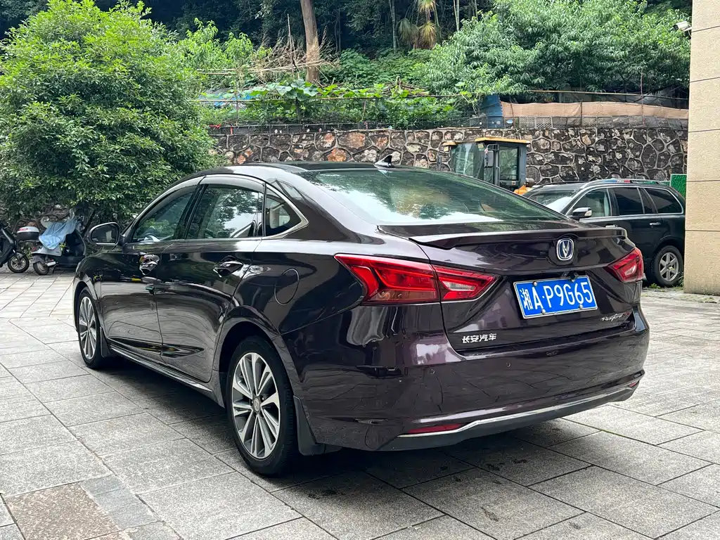 Changan Ruicheng CC 2018 — фото 22