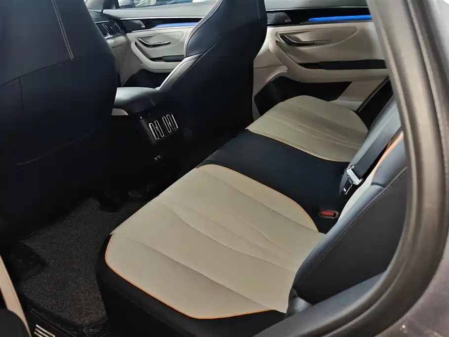 BYD PLUS New Energy 2022 — фото 11