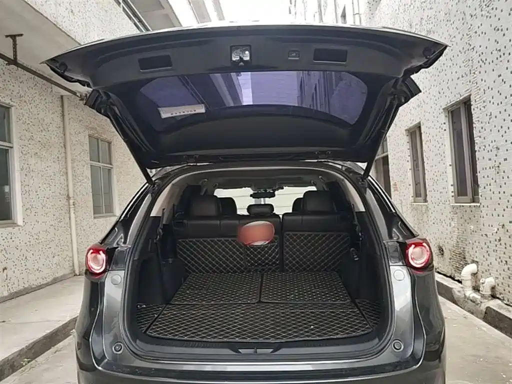Mazda CX-8 2019 — фото 19