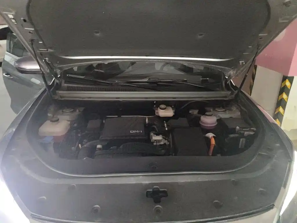 BYD Song Pro New Energy 2025 — фото 11