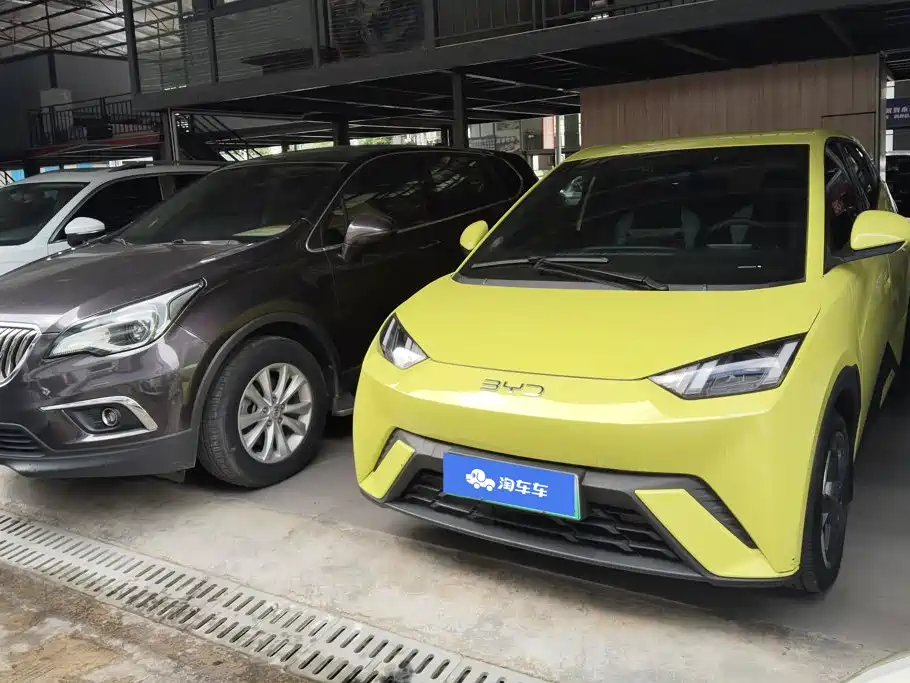 BYD Seagull 2024