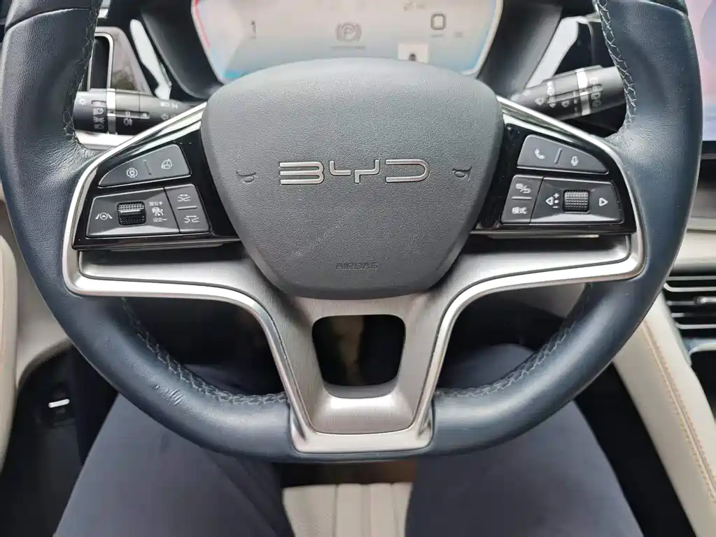 BYD Song PLUS New Energy 2023 — фото 17