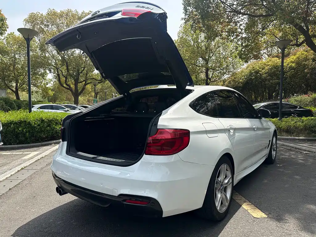 BMW 3 Series GT 2019 — фото 14
