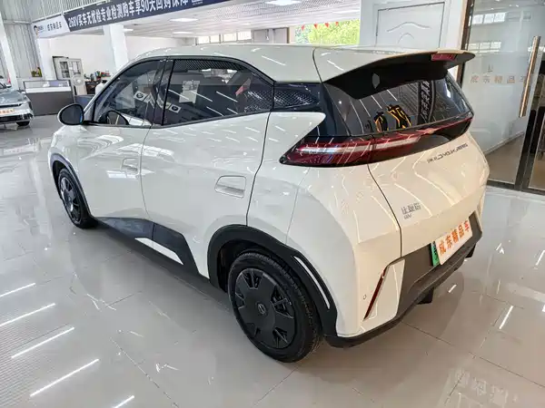 BYD Seagull 2026