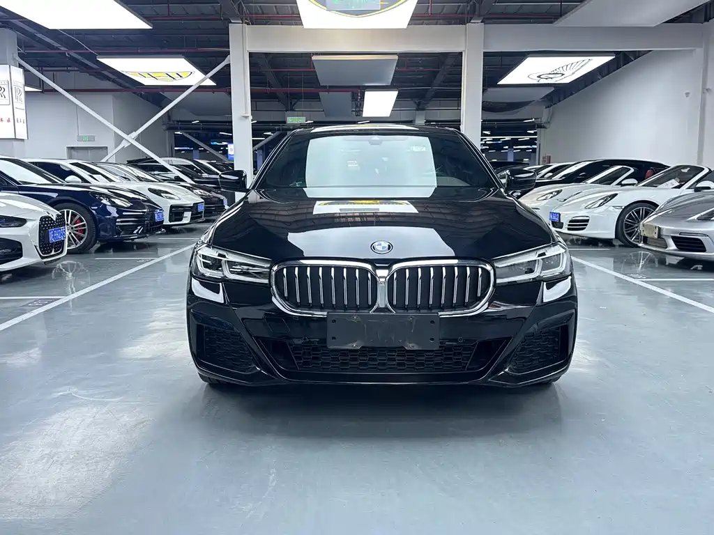 BMW 5 Series 2020 — фото 3