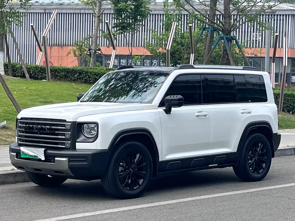 Haval Menglong New Energy 2024