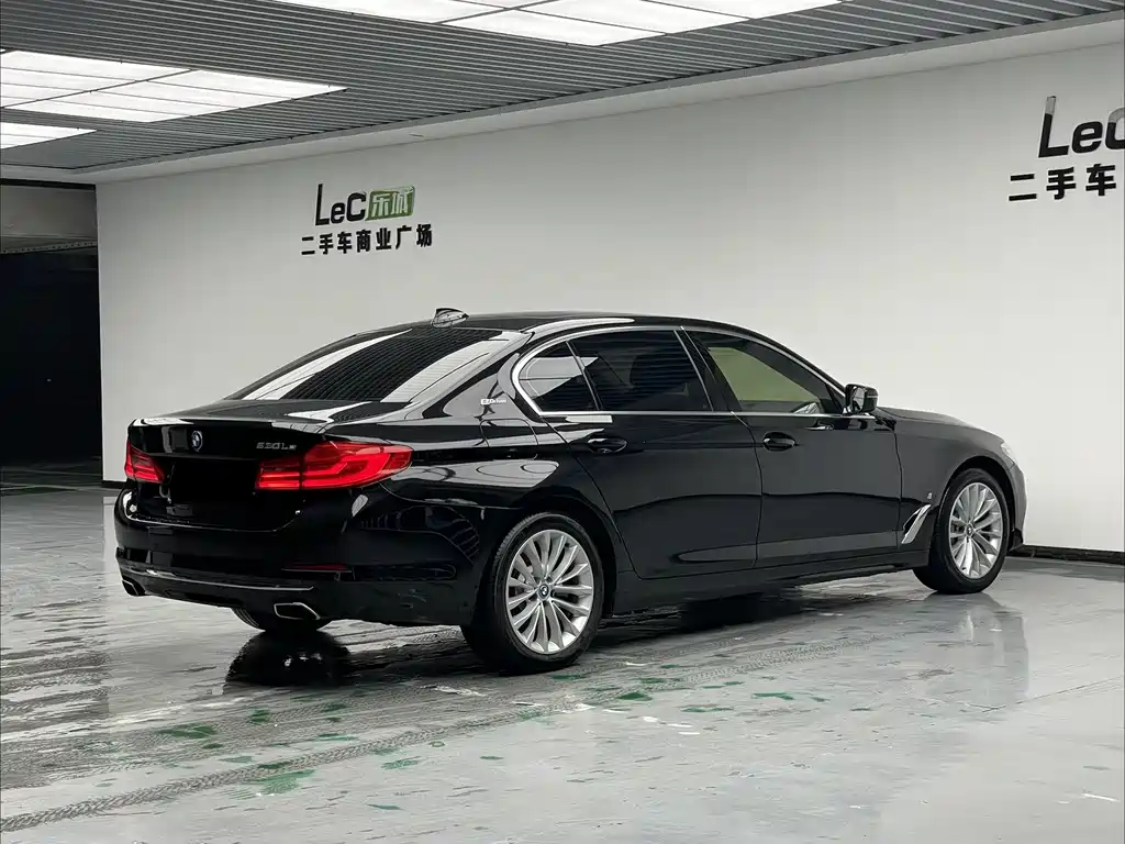 BMW 5 Series New Energy 2019 — фото 4
