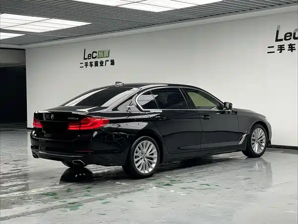 BMW 5 Series New Energy 2019