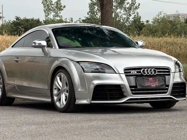 Audi TTS 2013