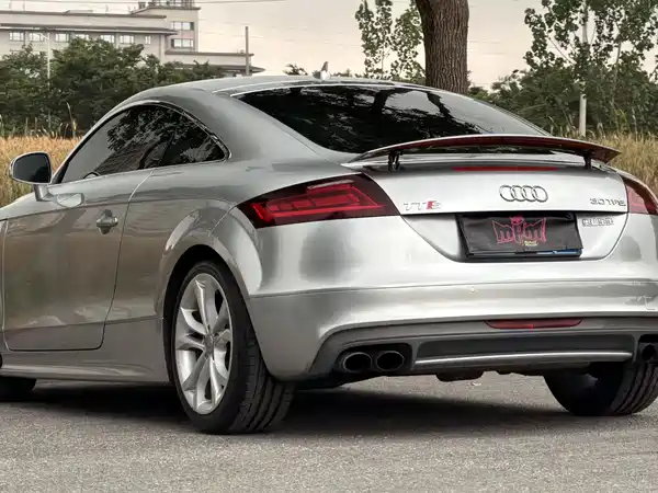 Audi TTS 2013