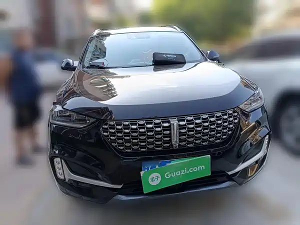 Wey VV6 2020
