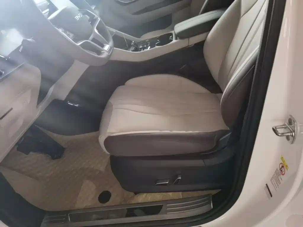 BYD PLUS New Energy 2025 — фото 15