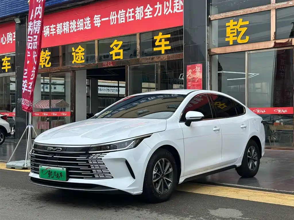 BYD Destroyer 05 2024 — фото 1