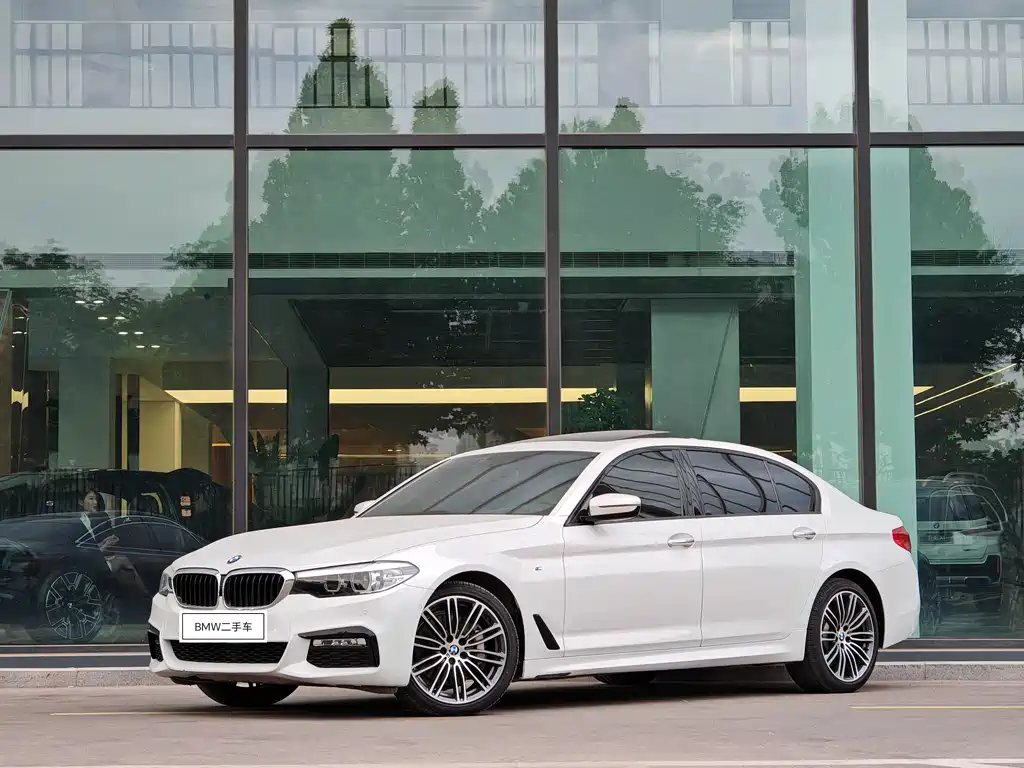 BMW 5 Series 2017 — фото 1