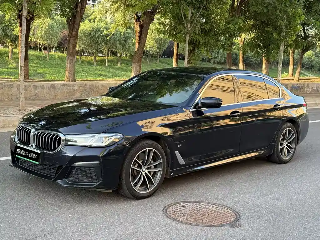 BMW 5 Series New Energy 2021