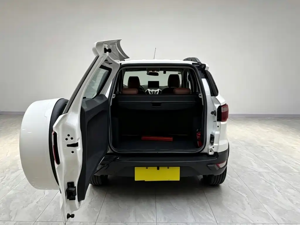Ford Ecosport 2015 — фото 9