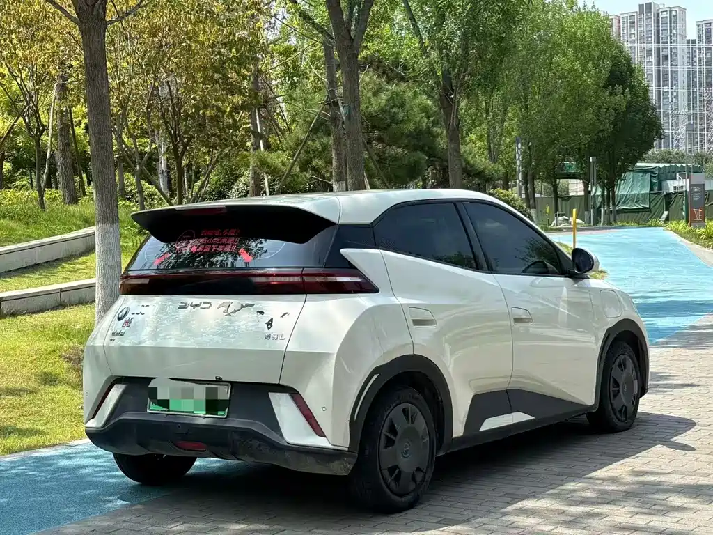 BYD Dolphin 2025
