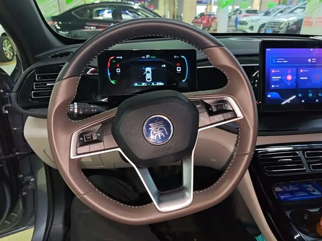 BYD Qin PLUS 2024 — фото 10