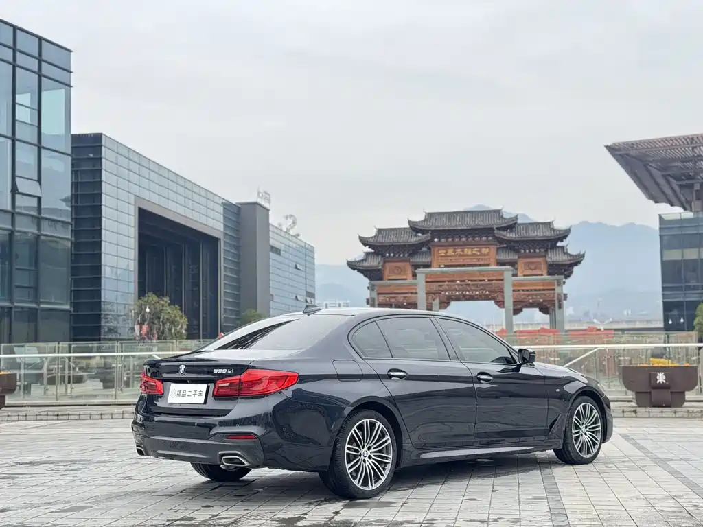 BMW 5 Series 2017 — фото 9