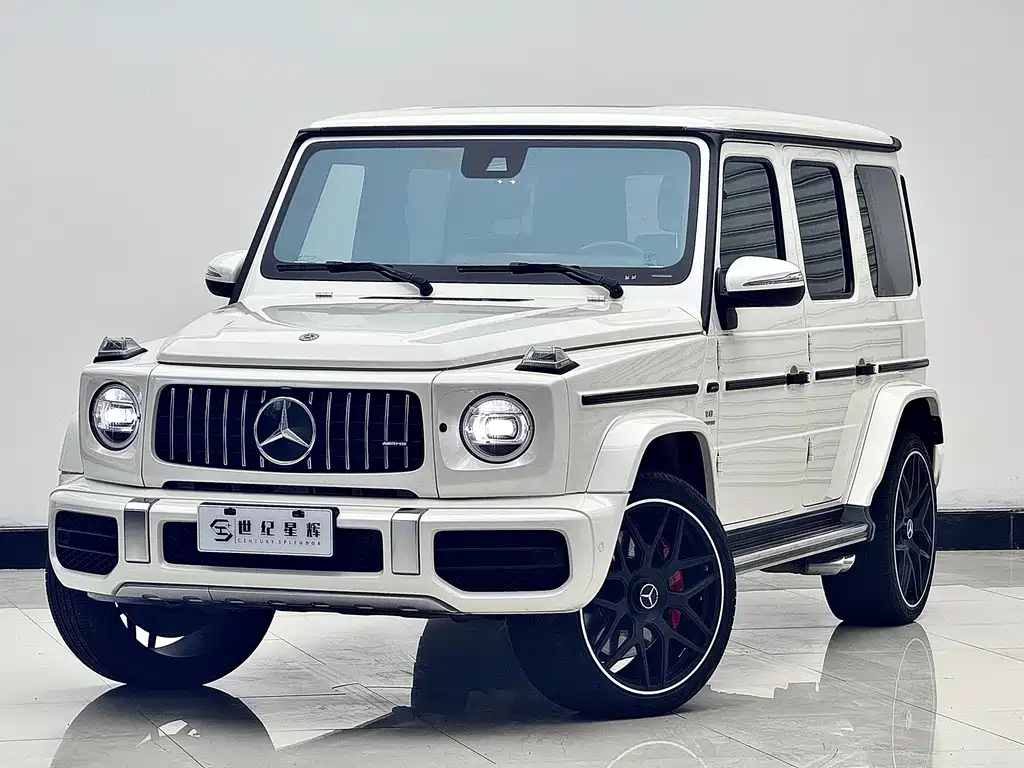 Mercedes-Benz G-Class AMG 2019 — фото 6