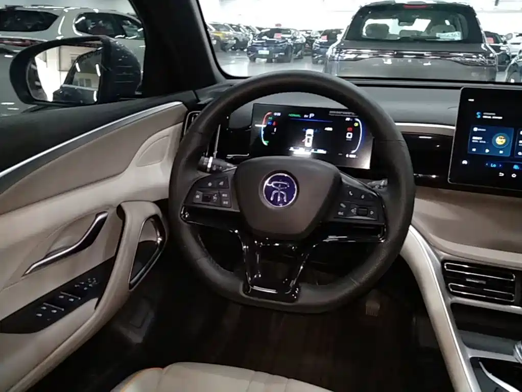 BYD Pro New Energy 2025 — фото 11