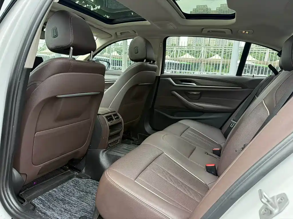 BMW 5 Series New Energy 2021