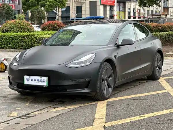 Tesla Model 3 2019