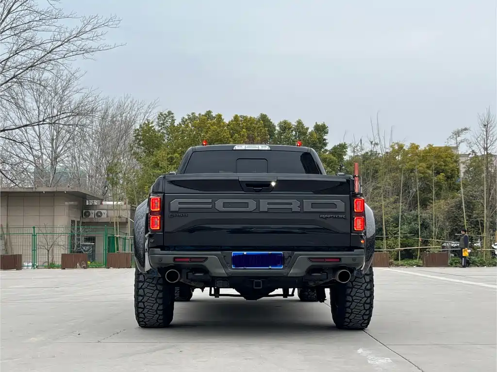Ford F-150 Raptor 2020 — фото 18