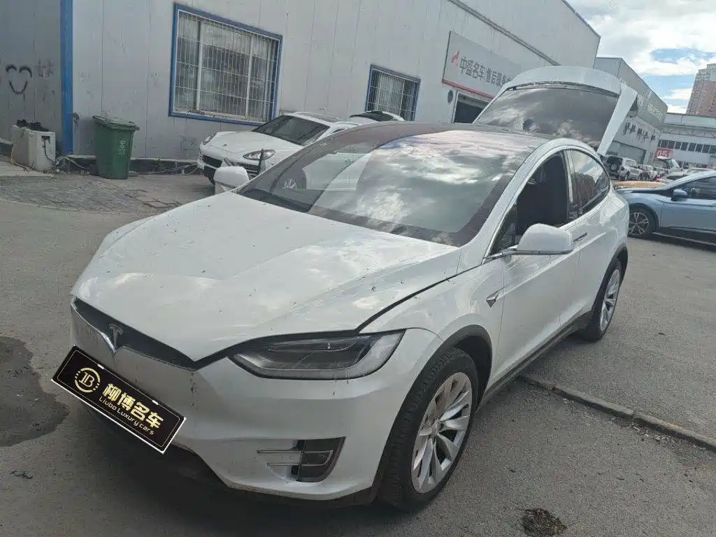 Tesla Model X 2018