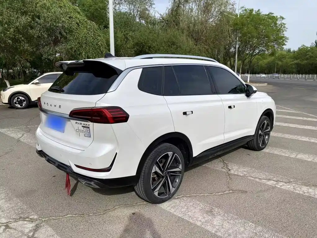 Roewe RX5 MAX 2023 — фото 13