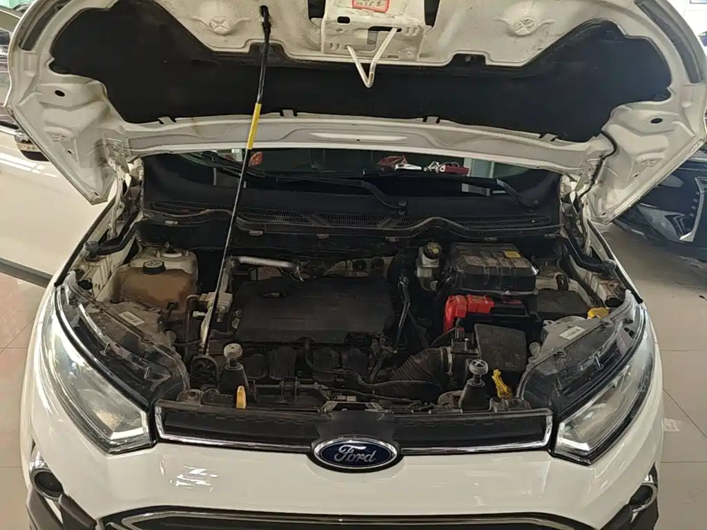 Ford EcoSport 2015 — фото 20