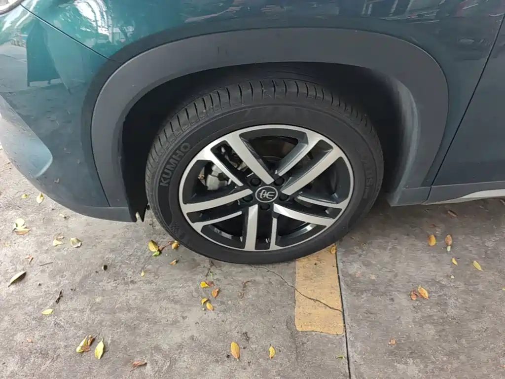 BYD L DM-i 2024 — фото 23