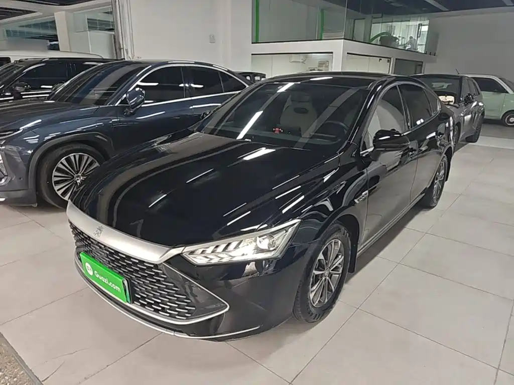 BYD Qin PLUS 2024 — фото 1