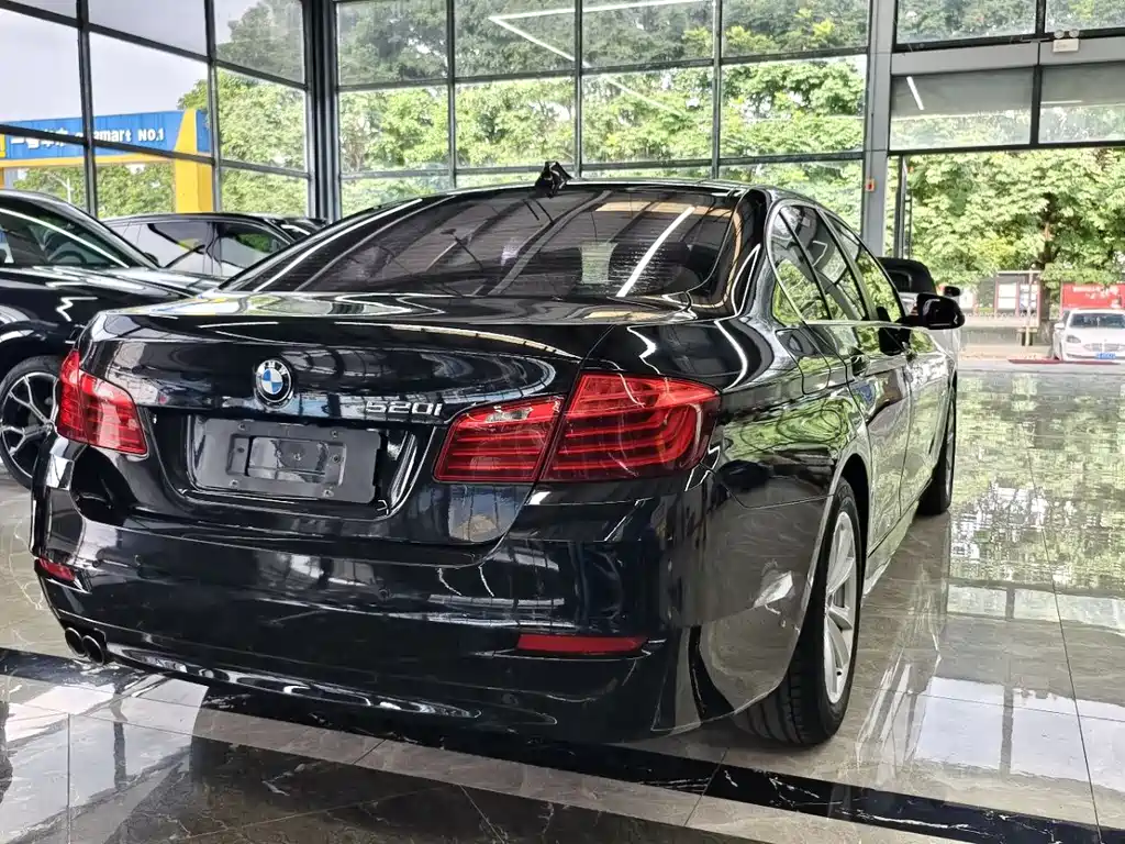 BMW 5 Series 2014 — фото 10