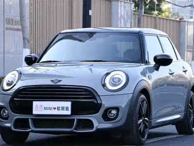 MINI MINI 2021