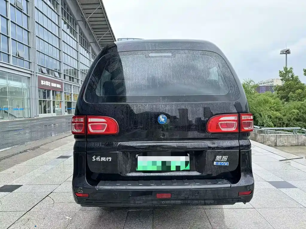 Dongfeng Lingzhi New Energy 2023