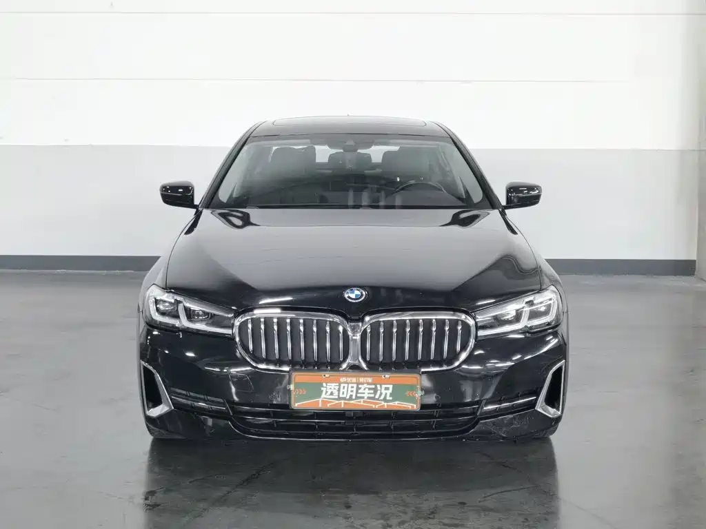BMW 5 Series New Energy 2021