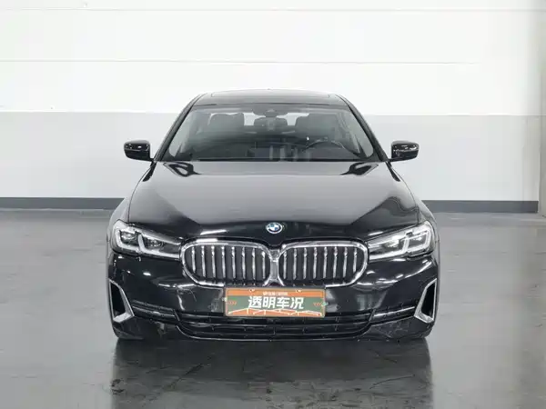 BMW 5 Series New Energy 2021