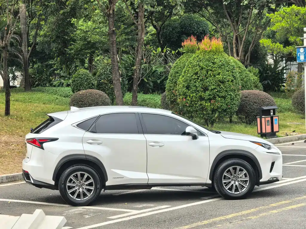 Lexus NX 2020 — фото 5