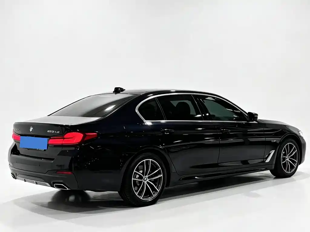 BMW 5 Series New Energy 2021