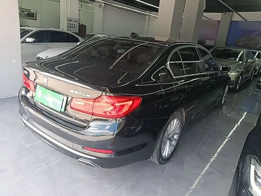 BMW 5 Series New Energy 2020