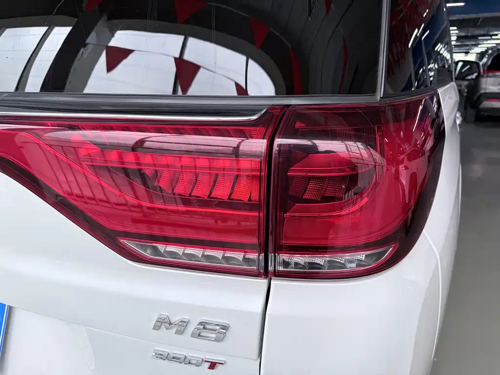 GAC Motor Trumpchi M8 2023 — фото 19