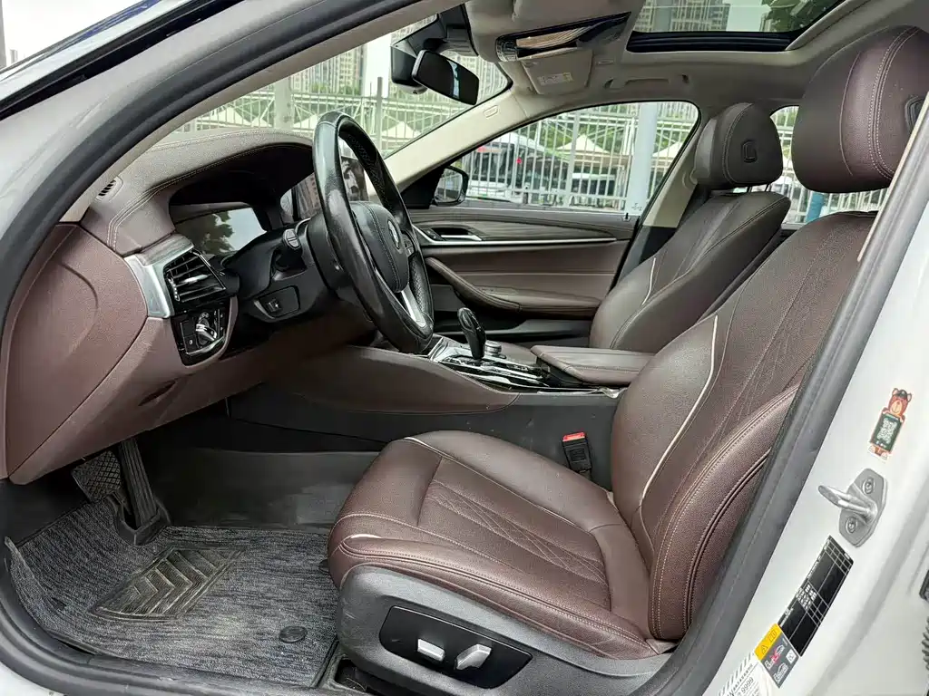 BMW 5 Series New Energy 2021