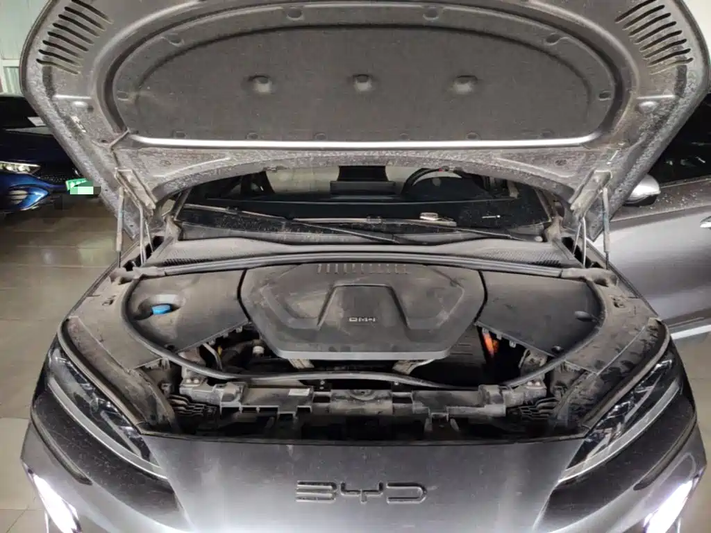 BYD PLUS New Energy 2024 — фото 20