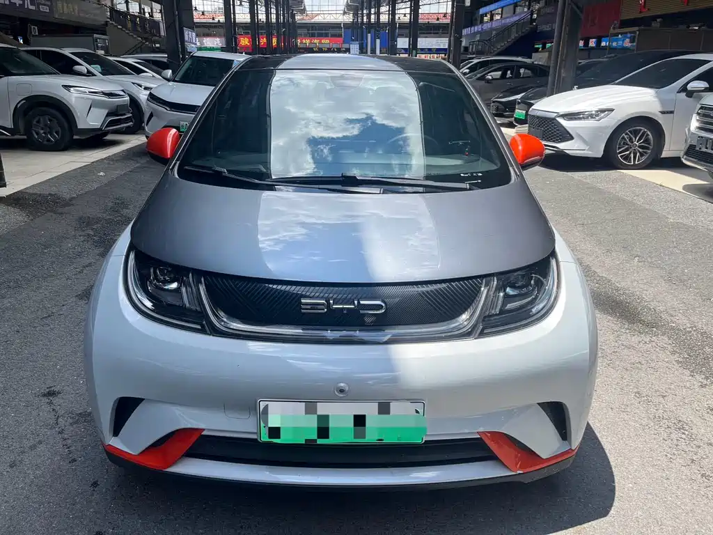 BYD Dolphin 2022